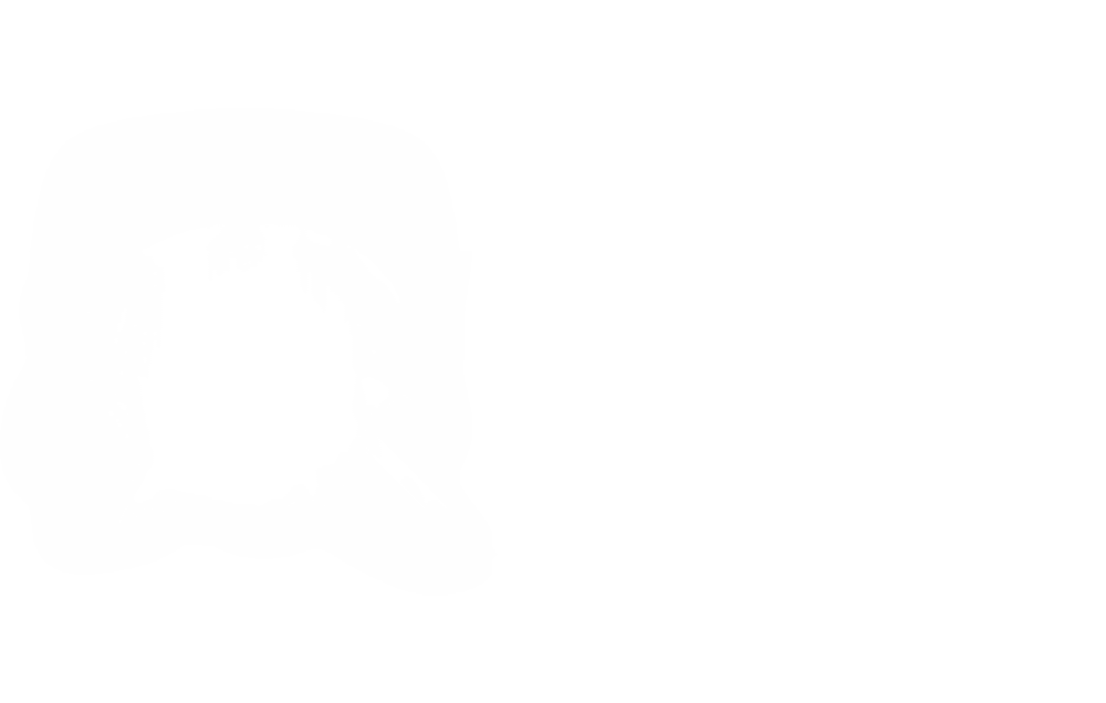 car detailing flash lighta