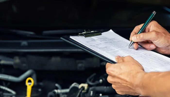 Vehicle Inspection (paint protection film)